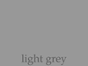 Snapshot Light Grey Image